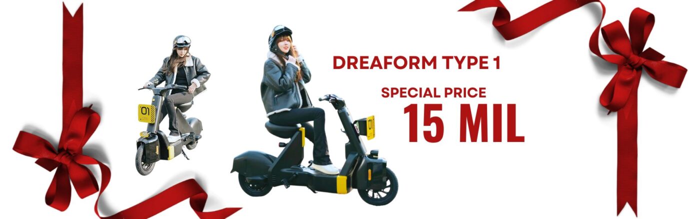xe đạp điện Dreaform Type 1 (1)