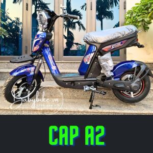 xe đạp điện Nasaki Cap A2